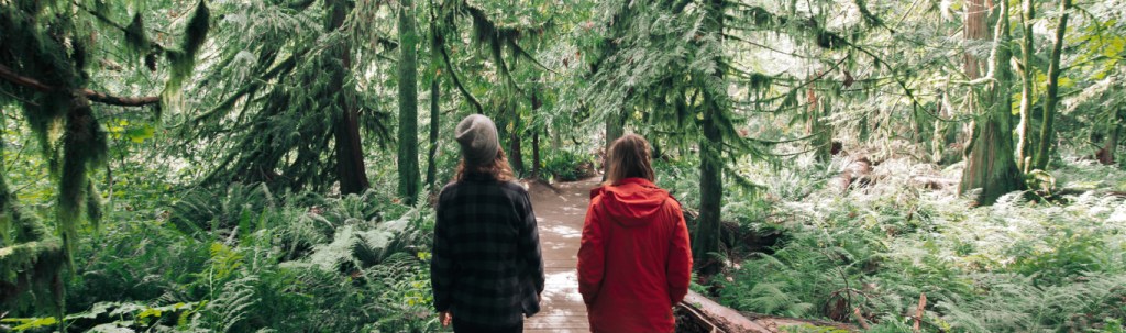 Due persone che camminano in una foresta