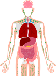 melanoma al IV stadio