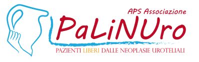 Logo APS Palinuro