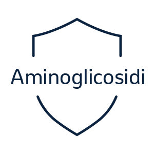 Icona scudo aminoglicosidi