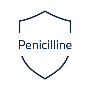 Icona scudo penicilline