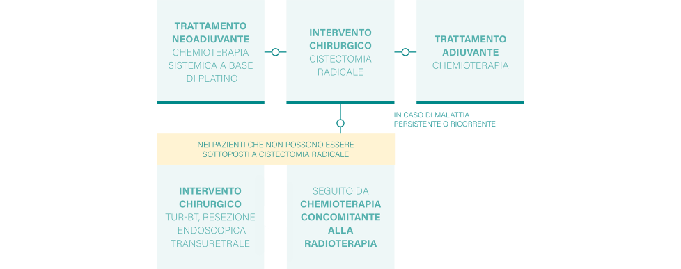 schema