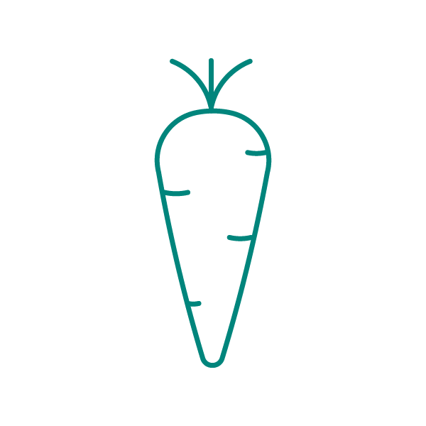 Icona carota