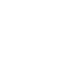 logo MSD bianco