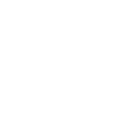 logo MSD bianco