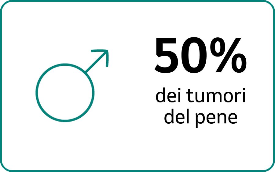 51% tumori del pene