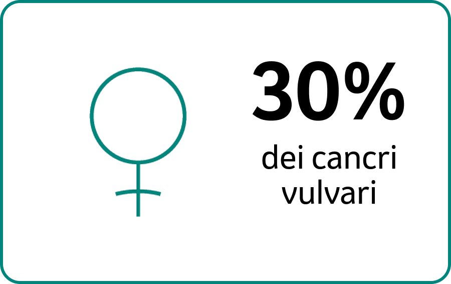 31% cancri vulvari