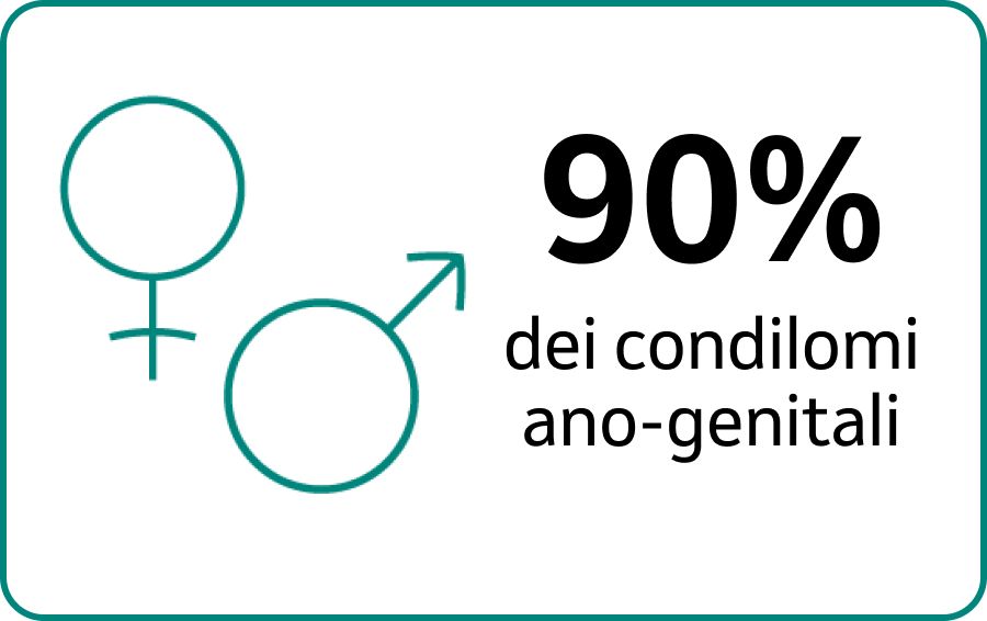 90% condilomi ano-genitali